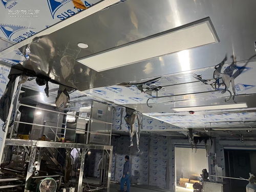 食品加工行業萬級無塵無菌凈化與安防工程一體化設計與施工