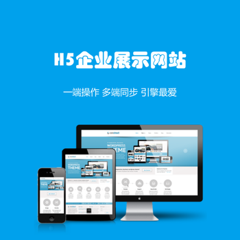 H5網(wǎng)站建設(shè) 設(shè)計與開發(fā)的全面指南